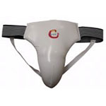 WTF approved Male Groin Guard $28